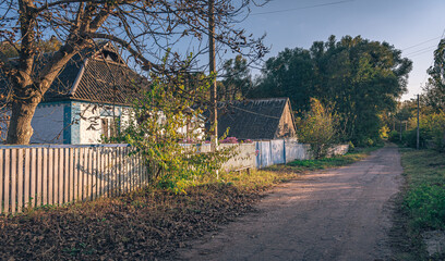 Faded nature in late summer and autumn