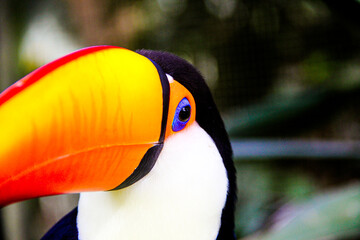 Zoo promenade © Felipe