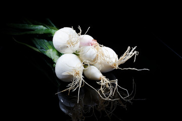 a couple of fresh onions with roots and green leafs presented on a black background.