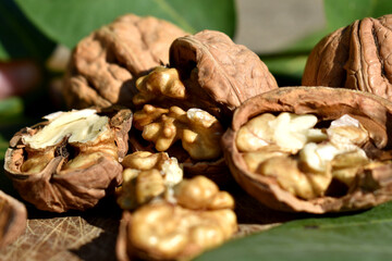 Walnuts and hazelnuts on a wooden table with leaves