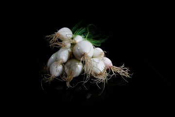 a couple of fresh onions with roots and green leafs presented on a black background.