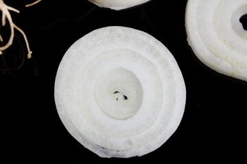 a couple of fresh onions with roots and green leafs presented on a black background.