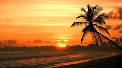 Fototapeta na wymiar The silhouette of the palm tree over the sea at sunset. Beautiful golden sunset on a wild tropical beach. 