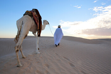 Beduin walking in the Sahara with a mehari dromedary