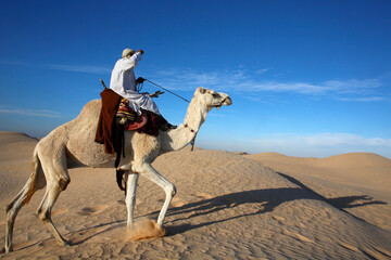 Dromedary rider in the Sahara
