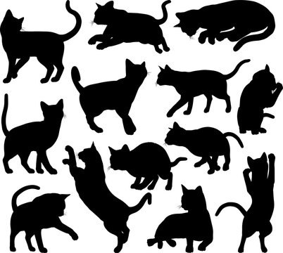 Cat Silhouette Pet Animals Set