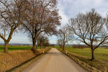Fototapeta na wymiar Empty country road in early spring