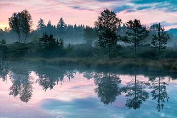 Neblige Morgendämmerung im Wenger Moor, ein Hochmoor im Salzburger Land, Österreich 