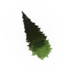 tree with a shadow under it, top view, isolate on a transparent background, 3d illustration