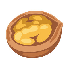 Illustration of walnut. Image for gastronomy and agricultural industries.