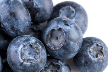 Blueberries on white background