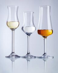 diverse Trinkgläser gefüllt mit Grappa 