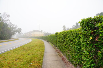 Fototapeta na wymiar The morning fog landscape in Florida community
