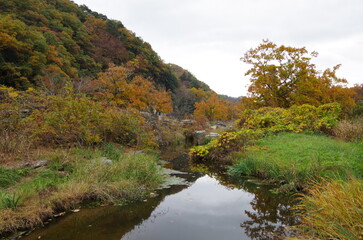 紅葉と小川