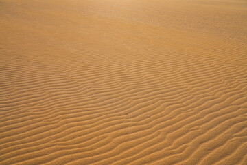 Ripples in the sand of the dunes of the Corralejo Natural Park in the north of Fuerteventura in the Canary Islands, Spain - Desert arid landscape with scattered shrubs in endless sand