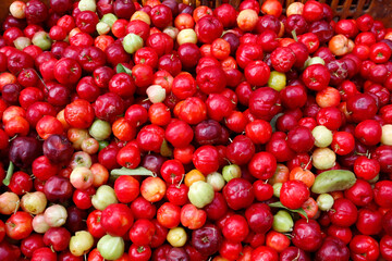 Acerola