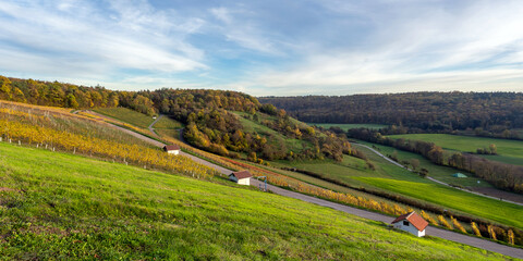 Weinberg H&auml;fnerhaslach