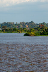Fototapeta premium Tropical water landscape of the Rio Amazonas in Brazil seen from a cruise ship during a trip from Manaus to Belem
