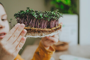Closeup of little girl holding microgreens of cabbage