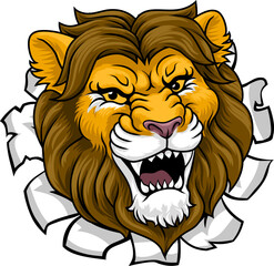 A lion sports team cartoon animal mascot
