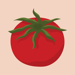 close up illustration of fresh tomatoes