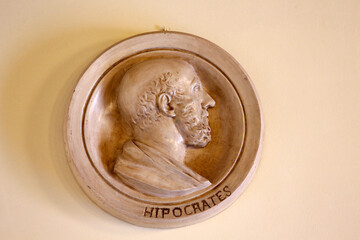 Medallion depicting Hipocrates in the pharmacy at the Alcazar, Jerez de la Frontera