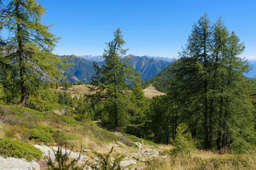 Gebirgslandschaft im Tessin in der Schweiz, Alpe Salei im Onsernonetal  - Mountain landscape, Alpe Salei, Ticino in Switzerland