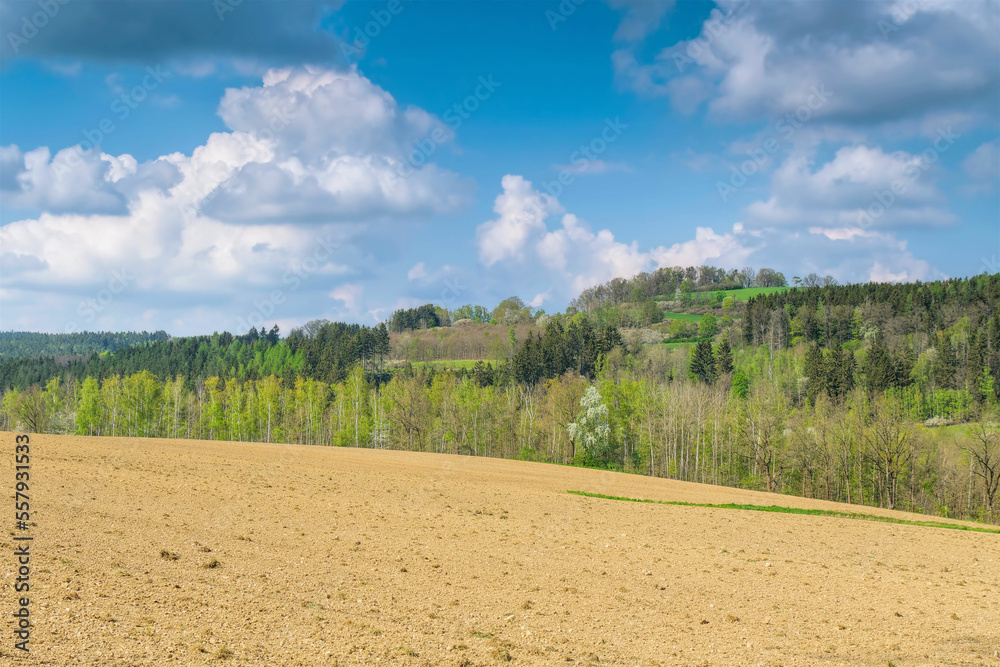 Poster Vogtland Feld im Frühling - landscape withe fields in Vogtland in spring