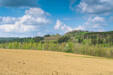 Vogtland Feld im Frühling - landscape withe fields in Vogtland in spring