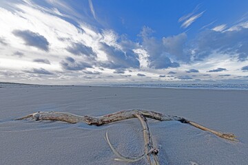 Winter image of jetsam on a North Sea beach near Vejers - obrazy, fototapety, plakaty