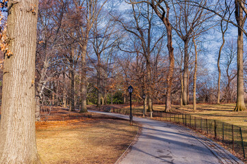 Fototapeta premium Central Park in New York, NYC, USA. Winter. Empty Path with No People