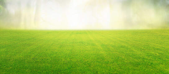 Beautiful summer natural landscape with lawn with cut fresh grass in early morning with light fog....