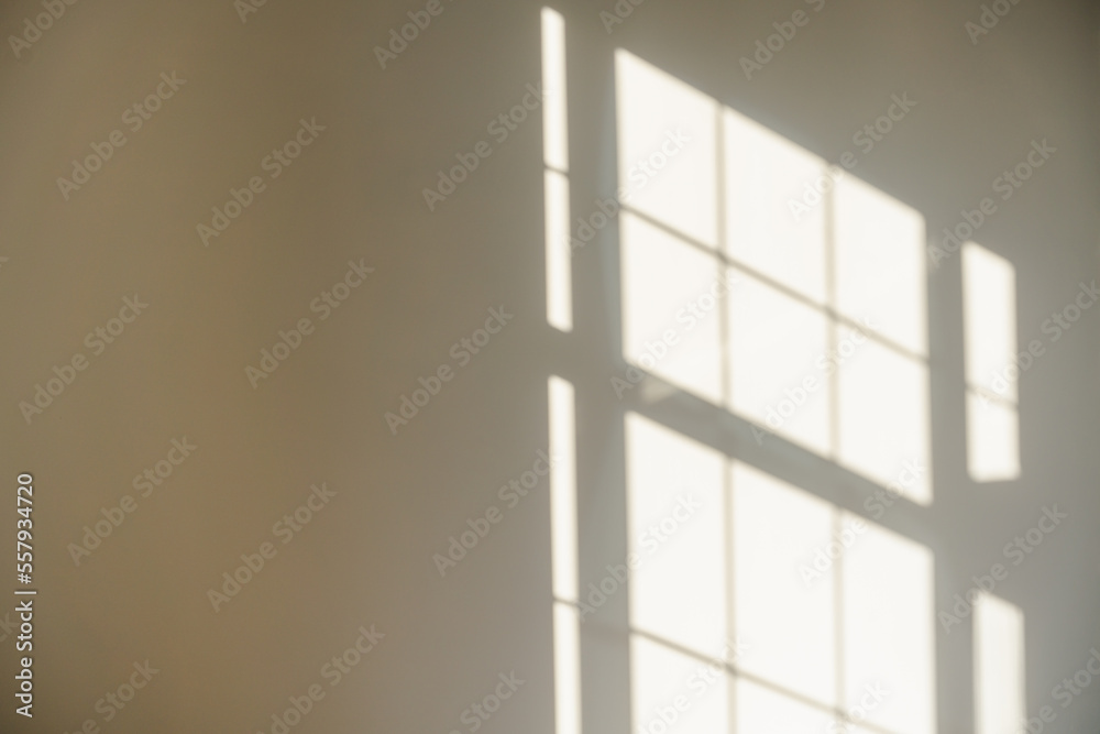 Canvas Prints window natural shadow