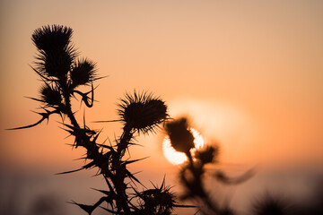 Half Moon Bay Sunset