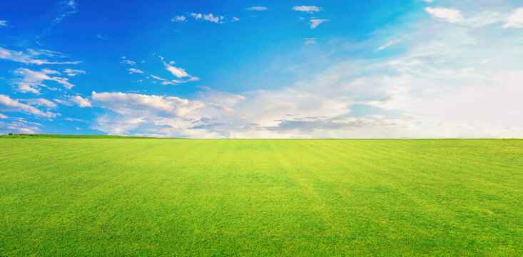 Beautiful background image of endless green field with young grass and blue sky with white clouds on bright sunny day. Natural spring summer landscape.