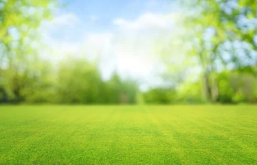 Keuken foto achterwand Tuin Beautiful blurred background image of spring nature with a neatly trimmed lawn surrounded by trees against a blue sky with clouds on a bright sunny day.