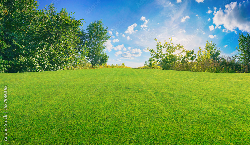 Aufkleber beautiful wide format image of a manicured country lawn surrounded by trees and shrubs on a bright s