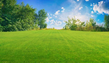 Keuken foto achterwand Pistache Beautiful wide format image of a manicured country lawn surrounded by trees and shrubs on a bright summer day. Spring summer nature.