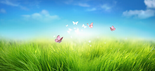 Young green juicy grass and fluttering butterflies in nature against blue spring sky with white clouds. Spring nature panorama.