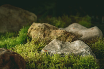 Abstract podium for cosmetic