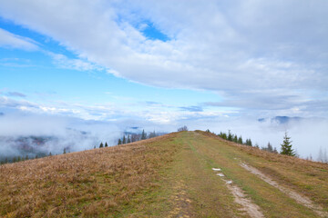 Road on the summit of the mountain among withered grass and clouds of fog, silhouettes of mountains on the horizon, blue sky over the fog. Ukraine, Carpathians.