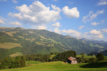 Fototapeta na wymiar View on a mountain of the department of Haute-Savoie in the Auvergne-Rhône-Alpes region of Southeastern France
