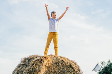 Naklejka na ściany i meble Happy school aged boy joyfully stand at top of haystack with raised arms. Carefree child on haymaking. Summer vacation.