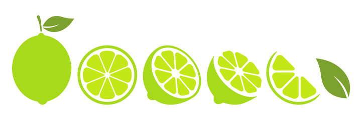 Lime slices set. Citrus green fruits collection. Vector illustration isolated on white.