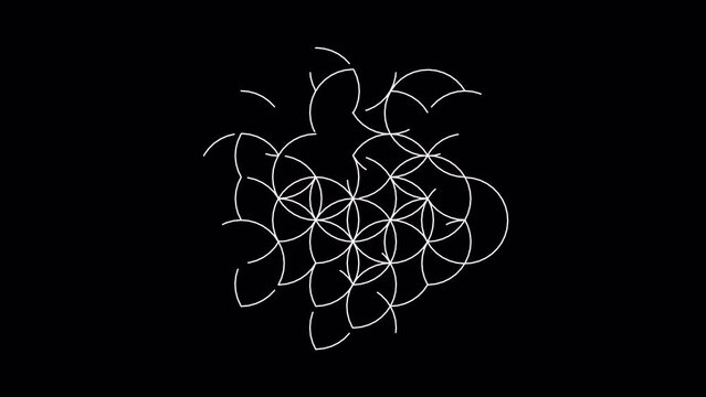 Flower of Life drawing