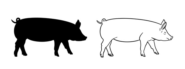 Hand drawn pig set. Vector illustration