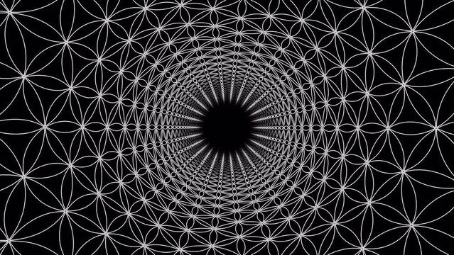 Flower of life tunnel