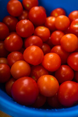 tomatoes on the market