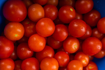 tomatoes on the market