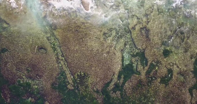 The La Jolla Tide Pools from above featuring colorful rocky outcrops adorned in sea grass